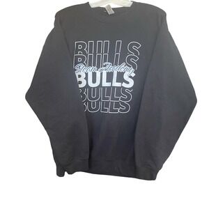 Gildan Heavy Blend Steam Academy Bulls Sweatshirt Mens XL Black Graphic Pullover